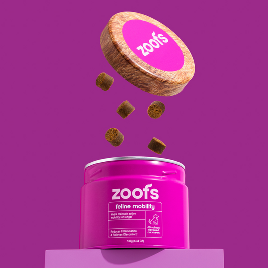 The Truth About Cat & Dog Supplements (And What to Avoid)
