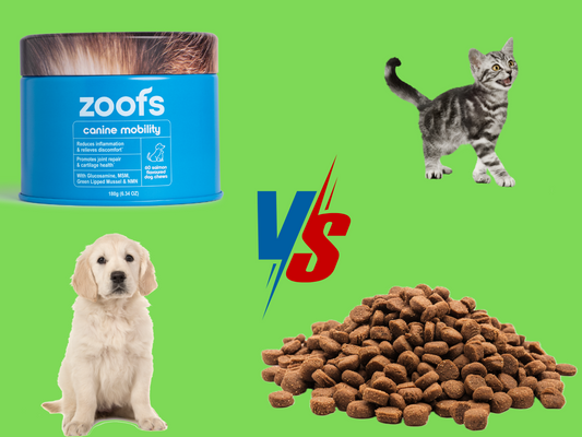 Pet Food vs. Pet Supplements: Why Even Premium Kibble Falls Short