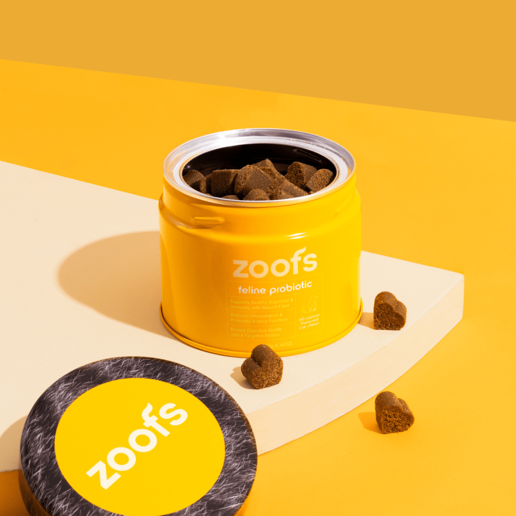 Probiotics for Cats - Gut & Digestive Health