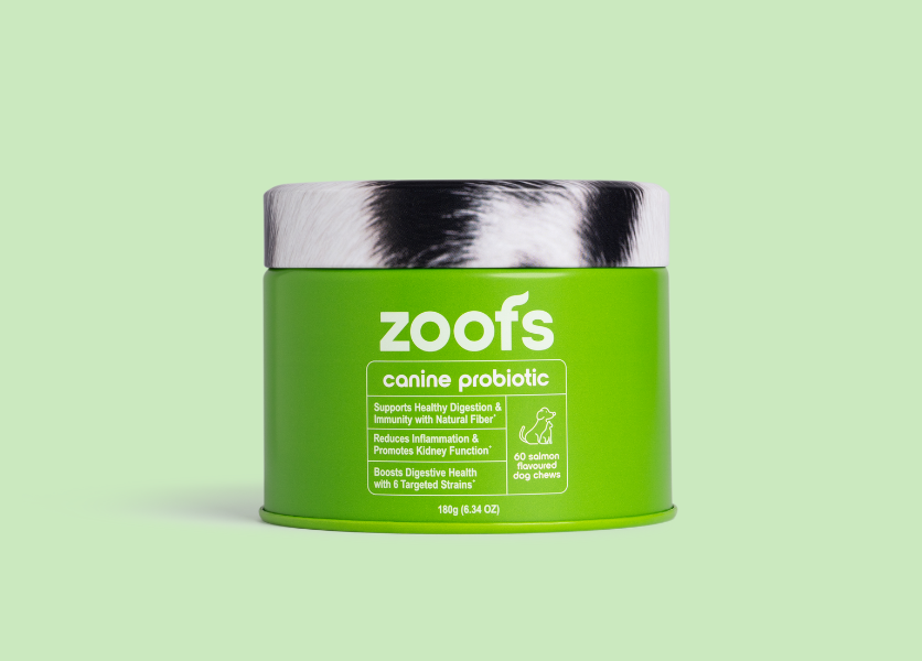 Probiotics for Dogs - Gut & Digestive Health