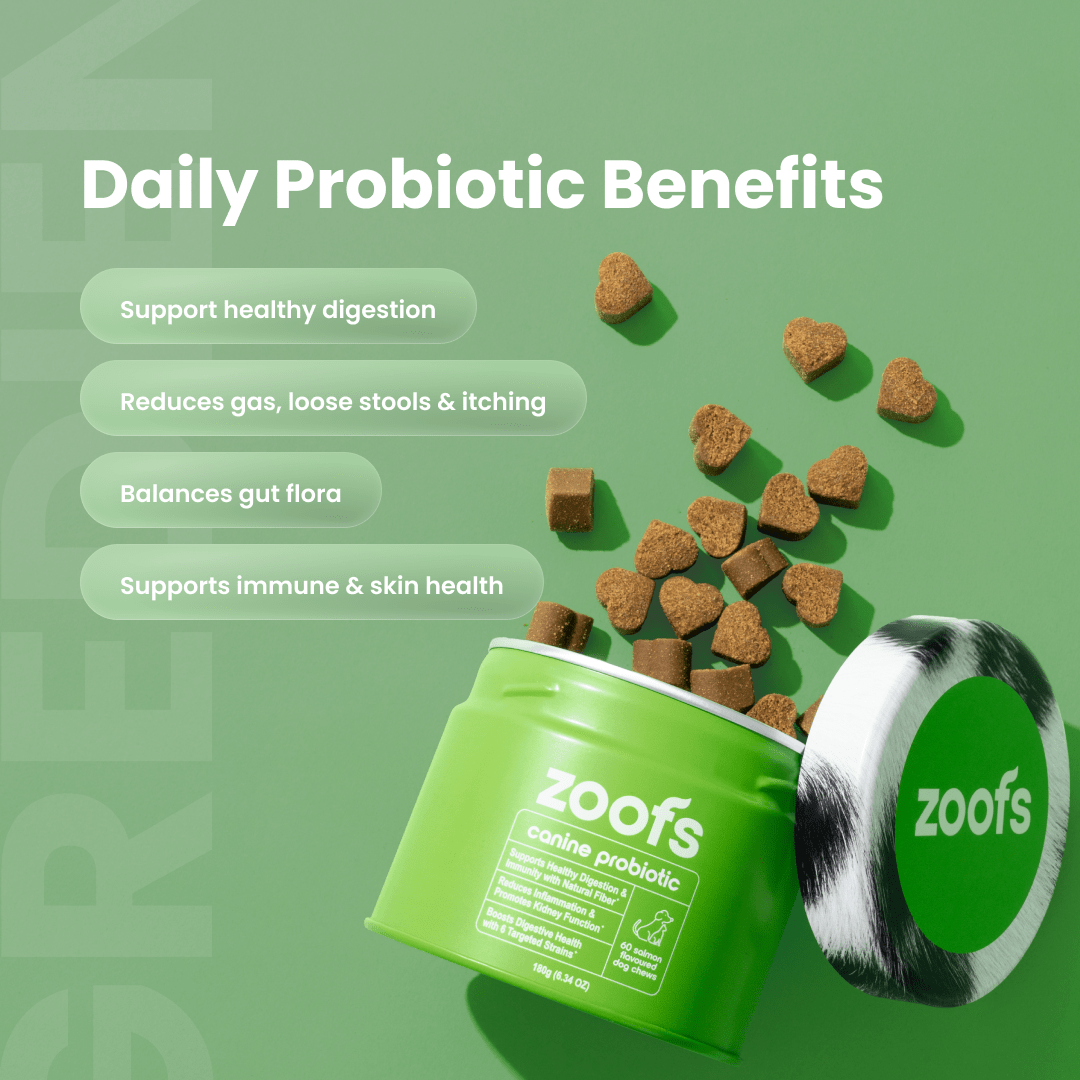 Probiotics for Dogs - Gut & Digestive Health
