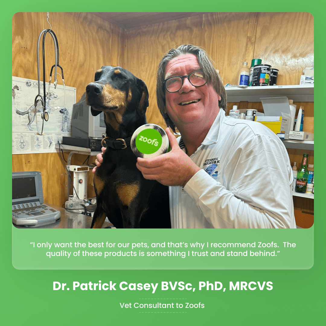 Probiotics for Dogs - Gut & Digestive Health