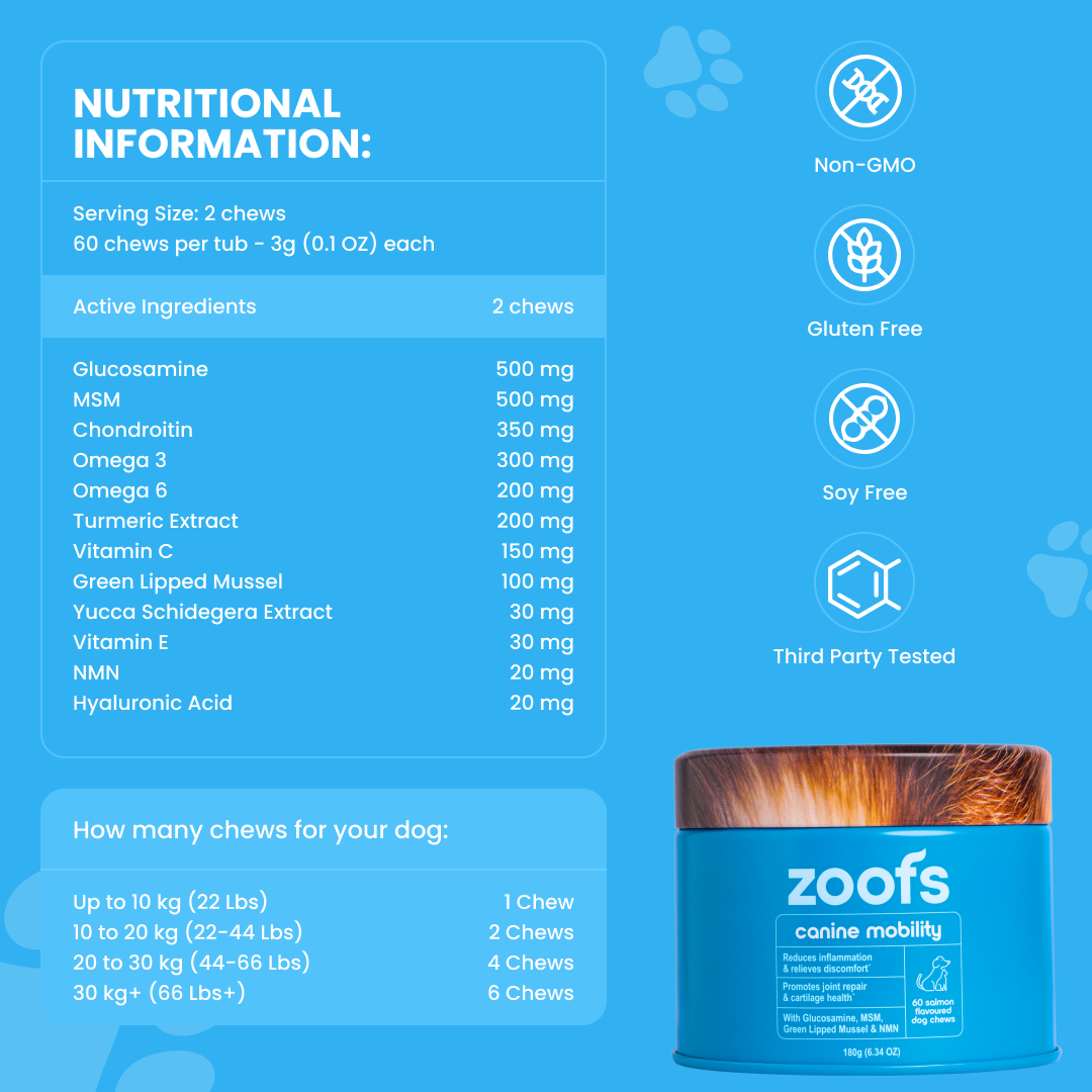 Mobility for Dogs - Hip, Joint & Longevity Health