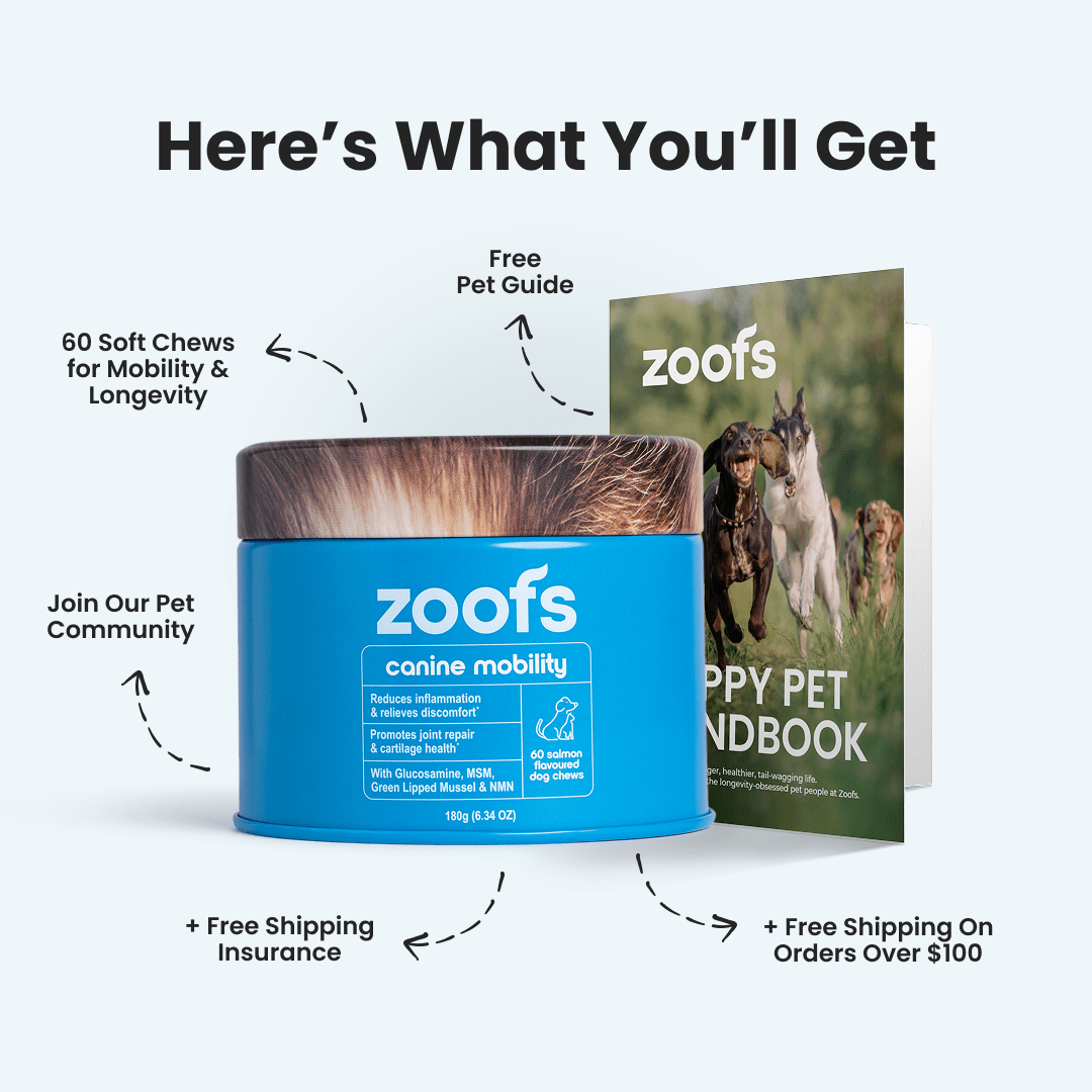 Mobility for Dogs - Hip, Joint & Longevity Health