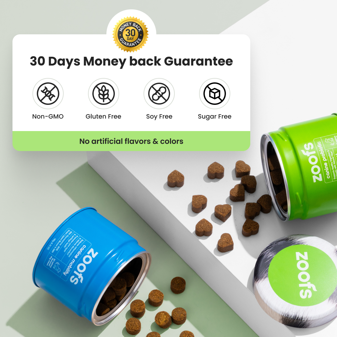 Mobility for Dogs - Hip, Joint & Longevity Health