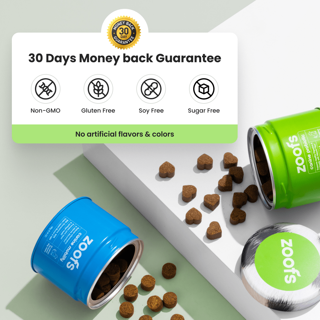 Mobility for Cats - Hip & Joint Health