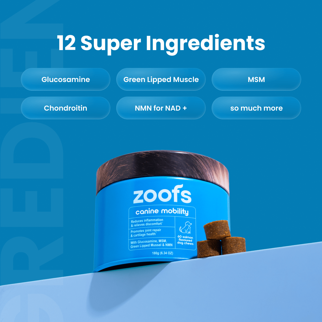 Mobility for Dogs - Hip, Joint & Longevity Health