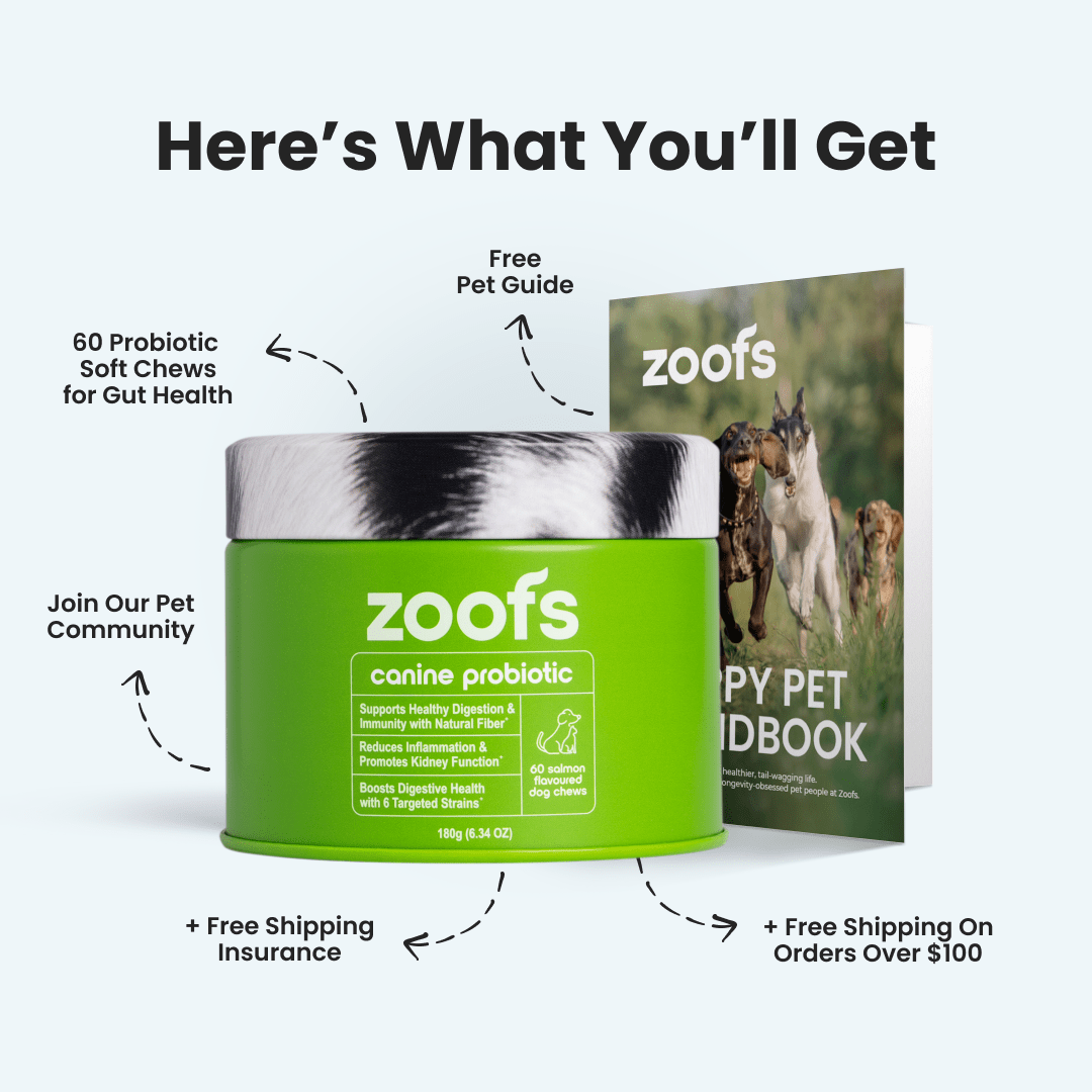 Probiotics for Dogs - Gut & Digestive Health