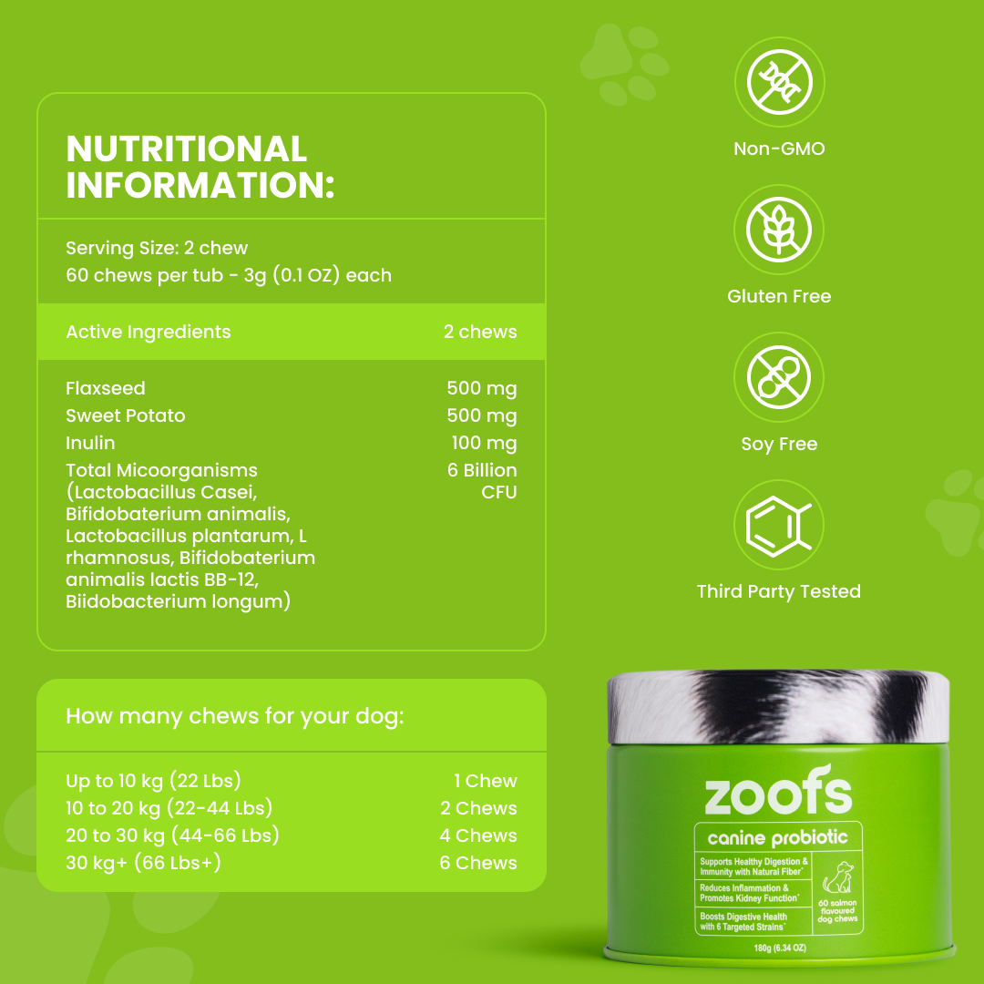 Probiotics for Dogs - Gut & Digestive Health