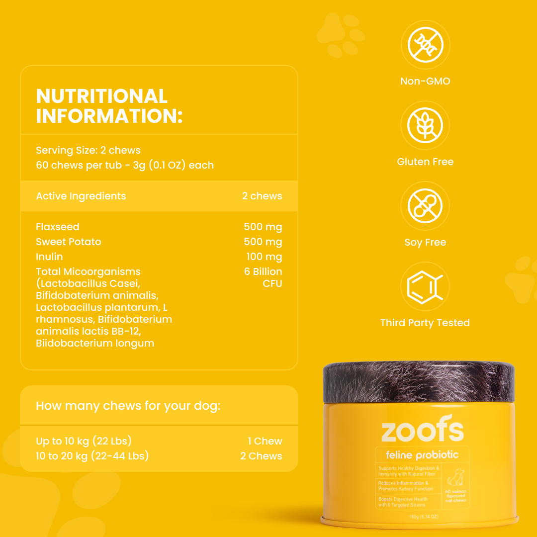 Probiotics for Cats - Gut & Digestive Health