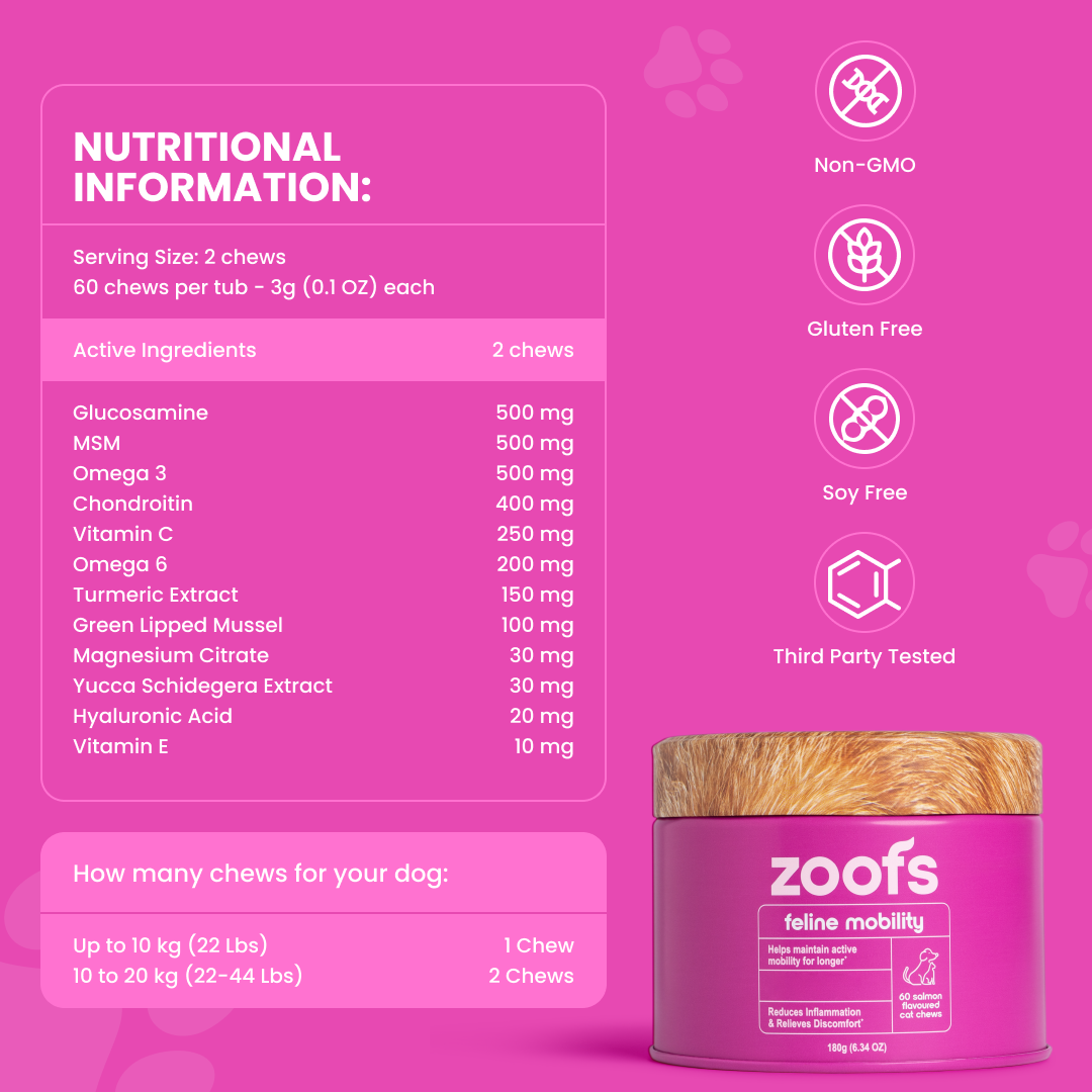 Active Bundle for Cats - Mobility, Longevity, Gut & Digestive Health