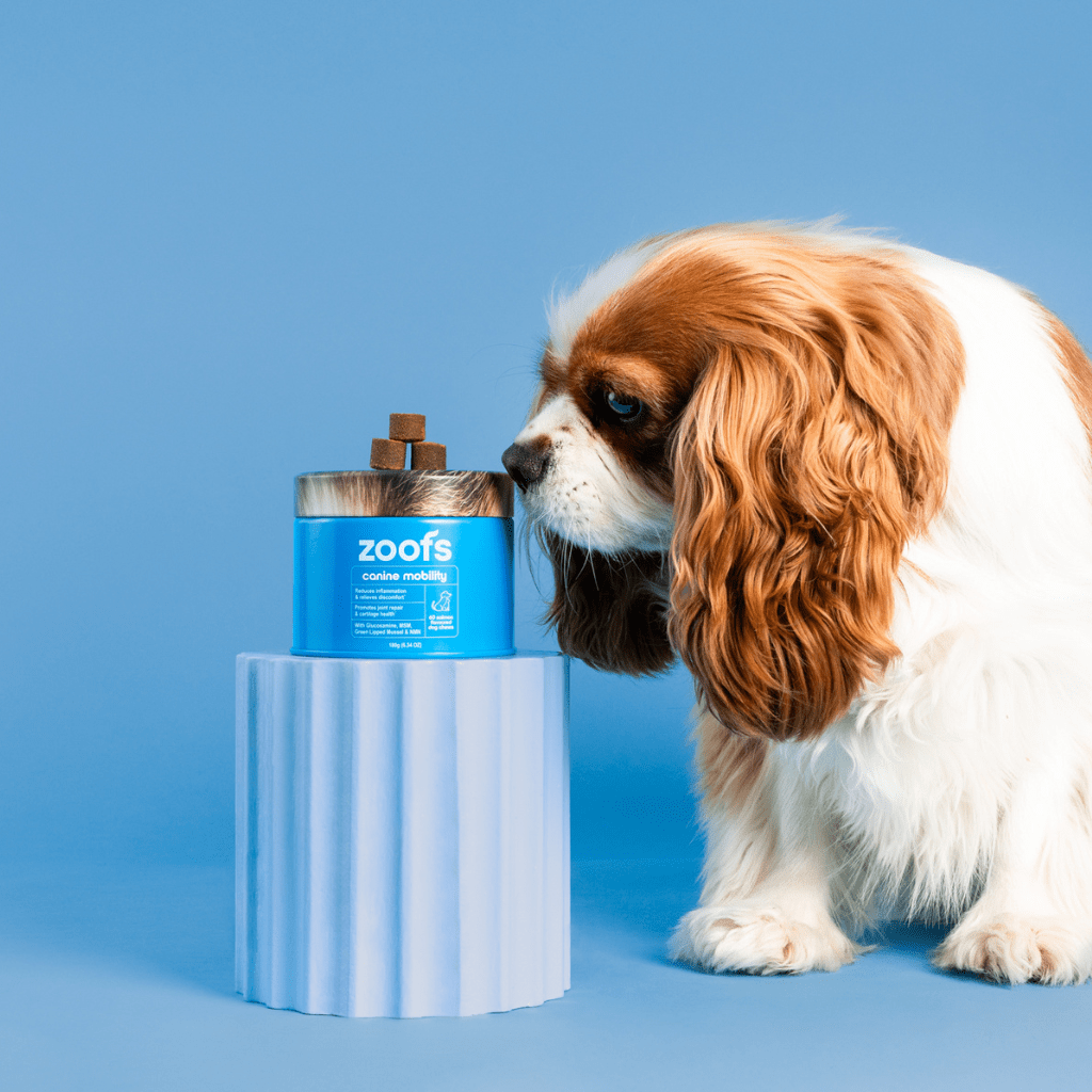 Mobility for Dogs - Hip, Joint & Longevity Health