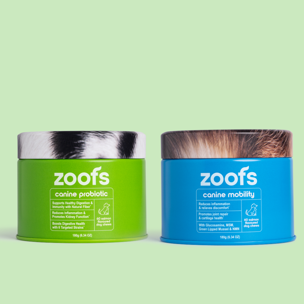 Active Bundle for Dogs - Mobility, Longevity, Gut & Digestive Health