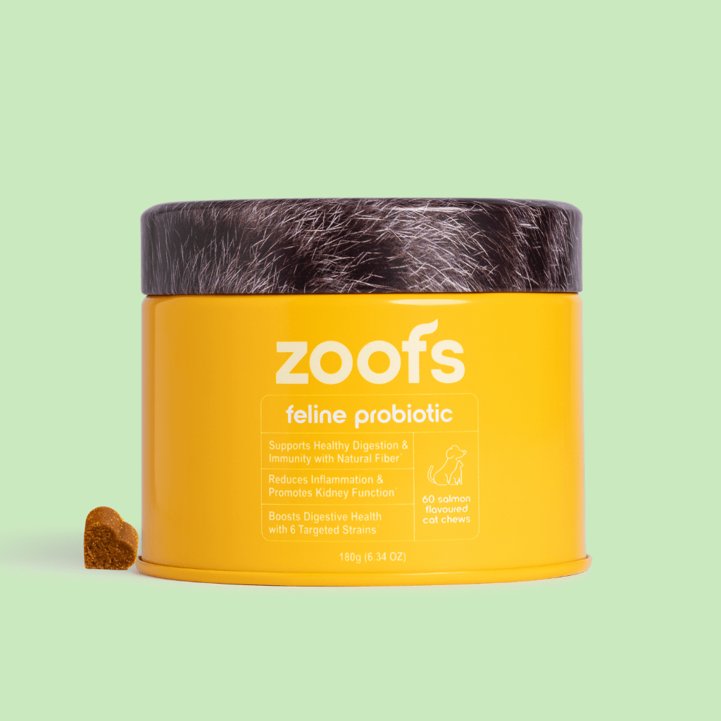 Probiotics for Cats - Gut & Digestive Health