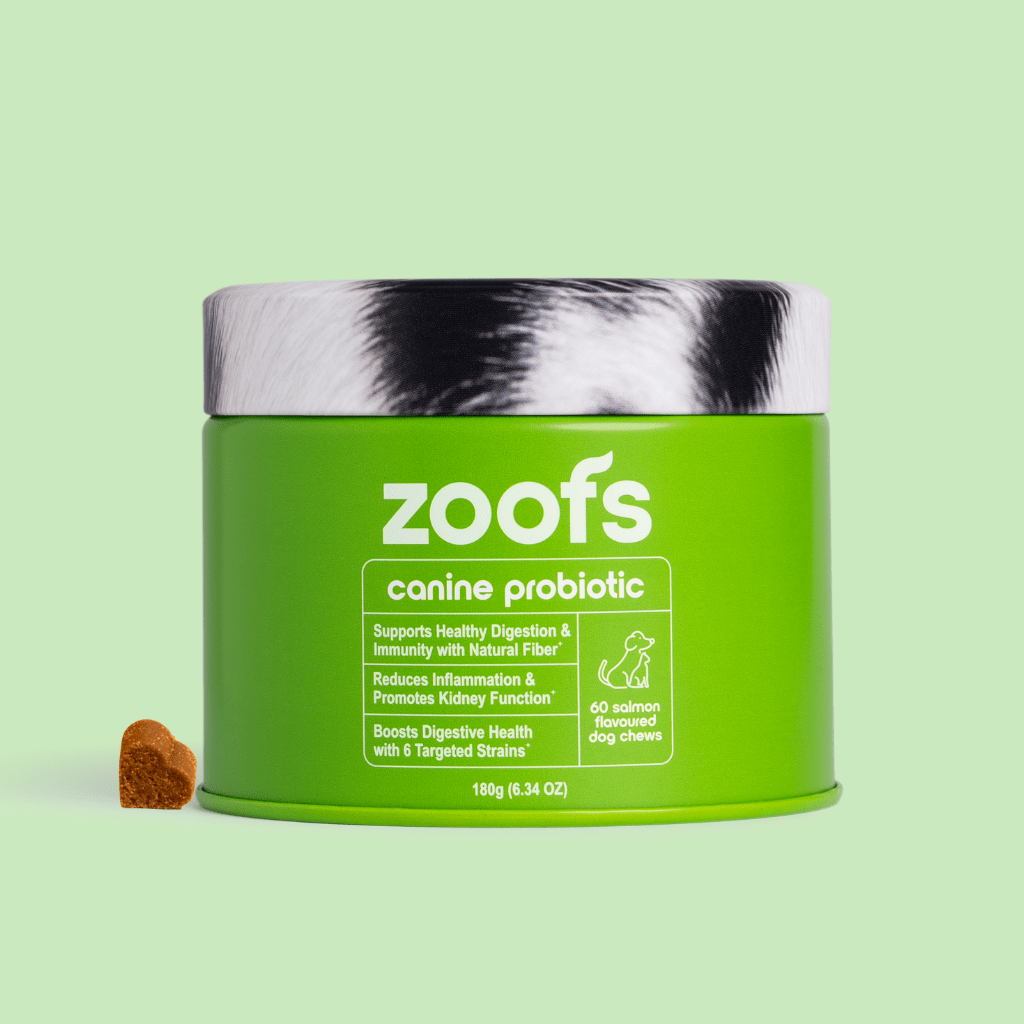 Probiotics for Dogs - Gut & Digestive Health