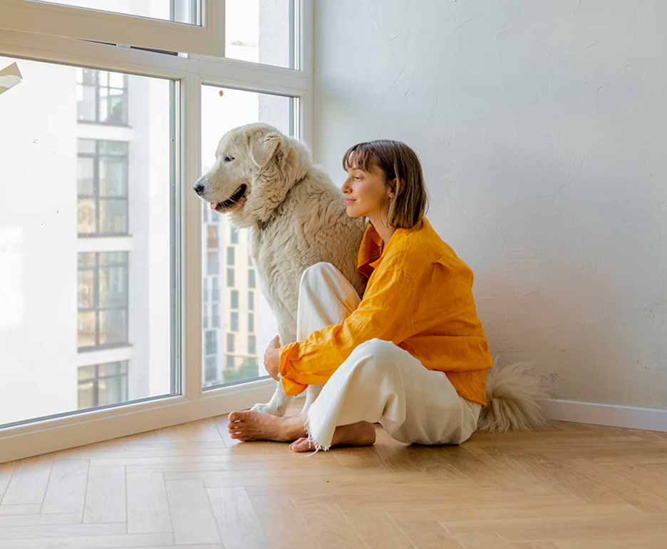 5 Signs Your Pet Might Need Joint Support – And What To Do About It