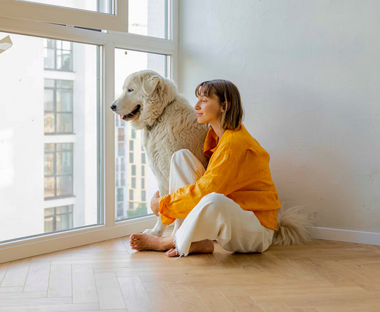 5 Signs Your Pet Might Need Joint Support – And What To Do About It