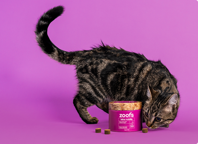 Shop for Cats
